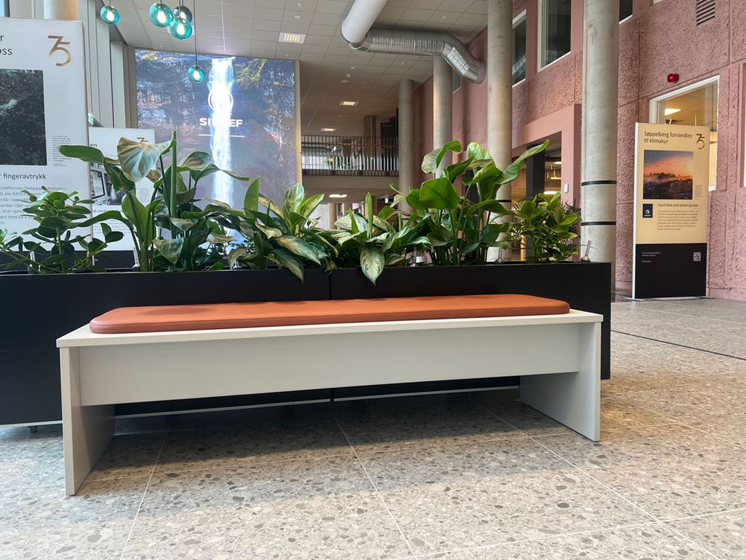 Benkene i inngangspartiet i Energibygget