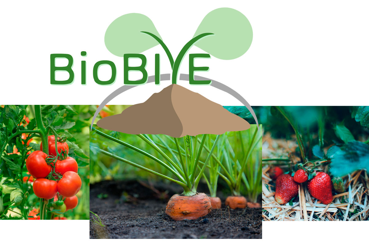 BioBIVE - Biologisk nedbrytbare leveransesystemer for kontroll av plantepatogener ved hjelp av bioaktive substanser