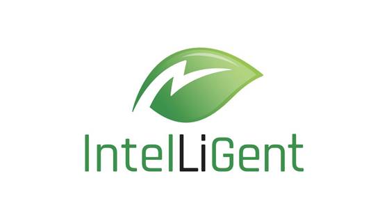 IntelLiGent - Innovative and sustainable high-voltage Li -ion cells for next generation (EV) batteries