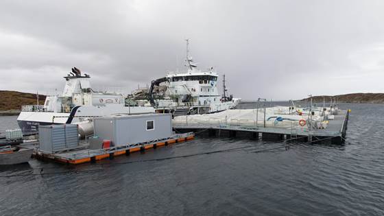 Kavitasjon på sykdomsbakterier