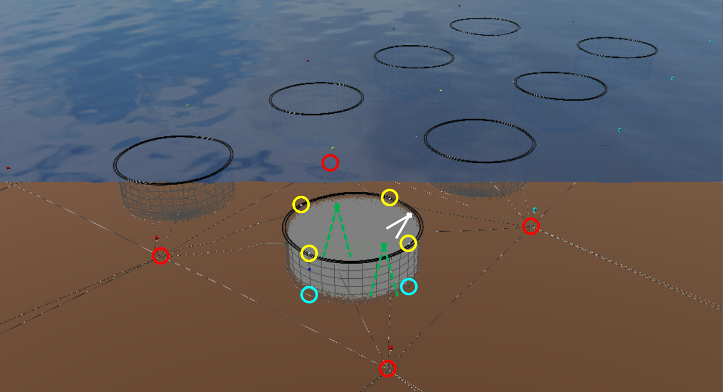 RACE Digital Cage
