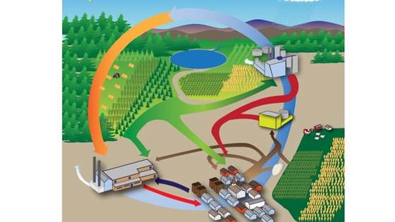 CenBio - bærekraftig og kostnadseffektiv bioenergi i Norge