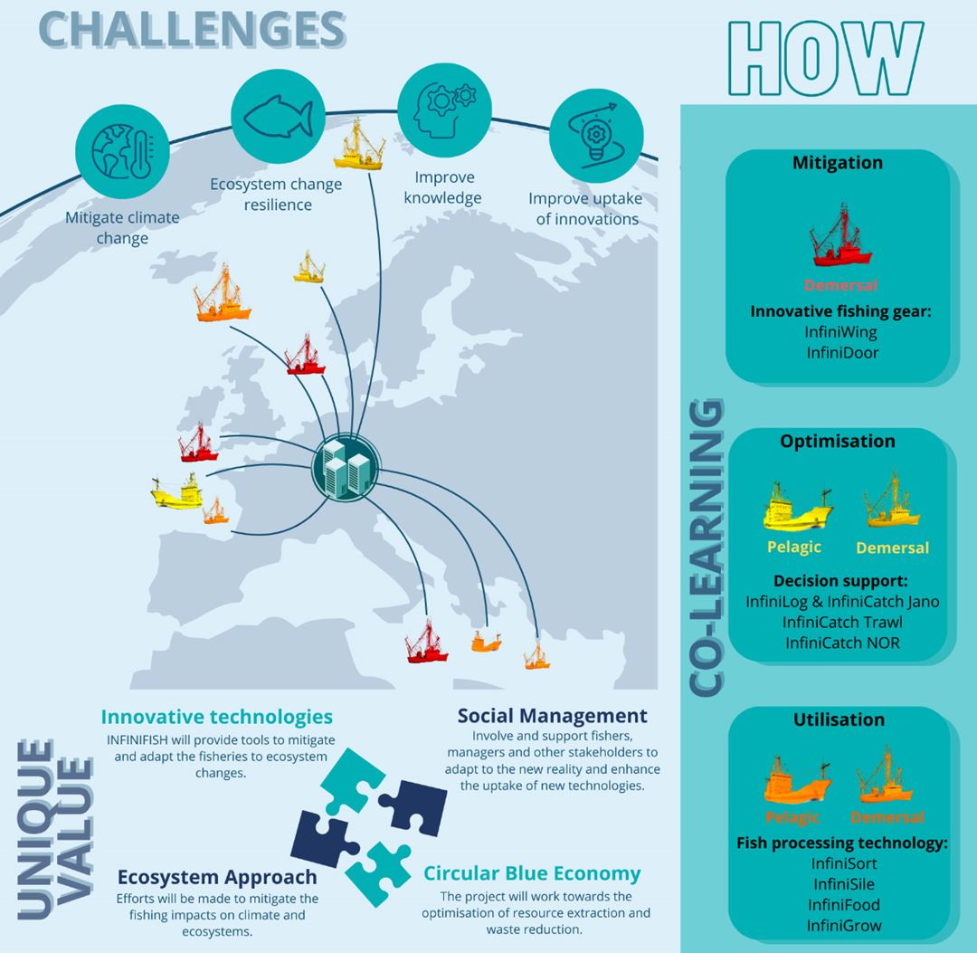 Infographic showing project layout