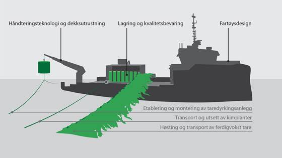 Seaweed Cultivation Vessel 2020