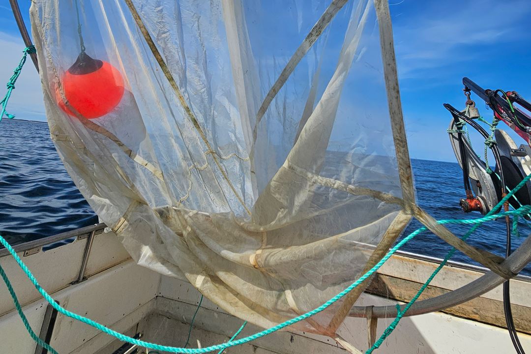 Fine meshed trawling net