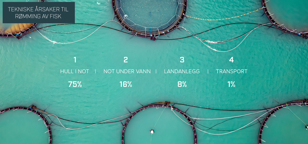 Tekniske &aring;rsaker til r&oslash;mming av fisk