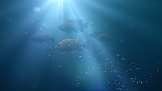 Nor-Fishing 2024