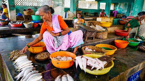 ReValue: Innovative technologies for improving resource utilization in the Indo-European fish value chains
