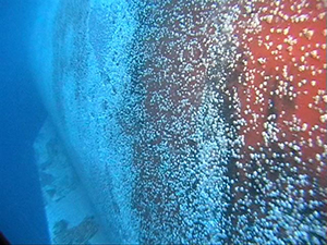 Ship hull with fouling and under maintenance operations