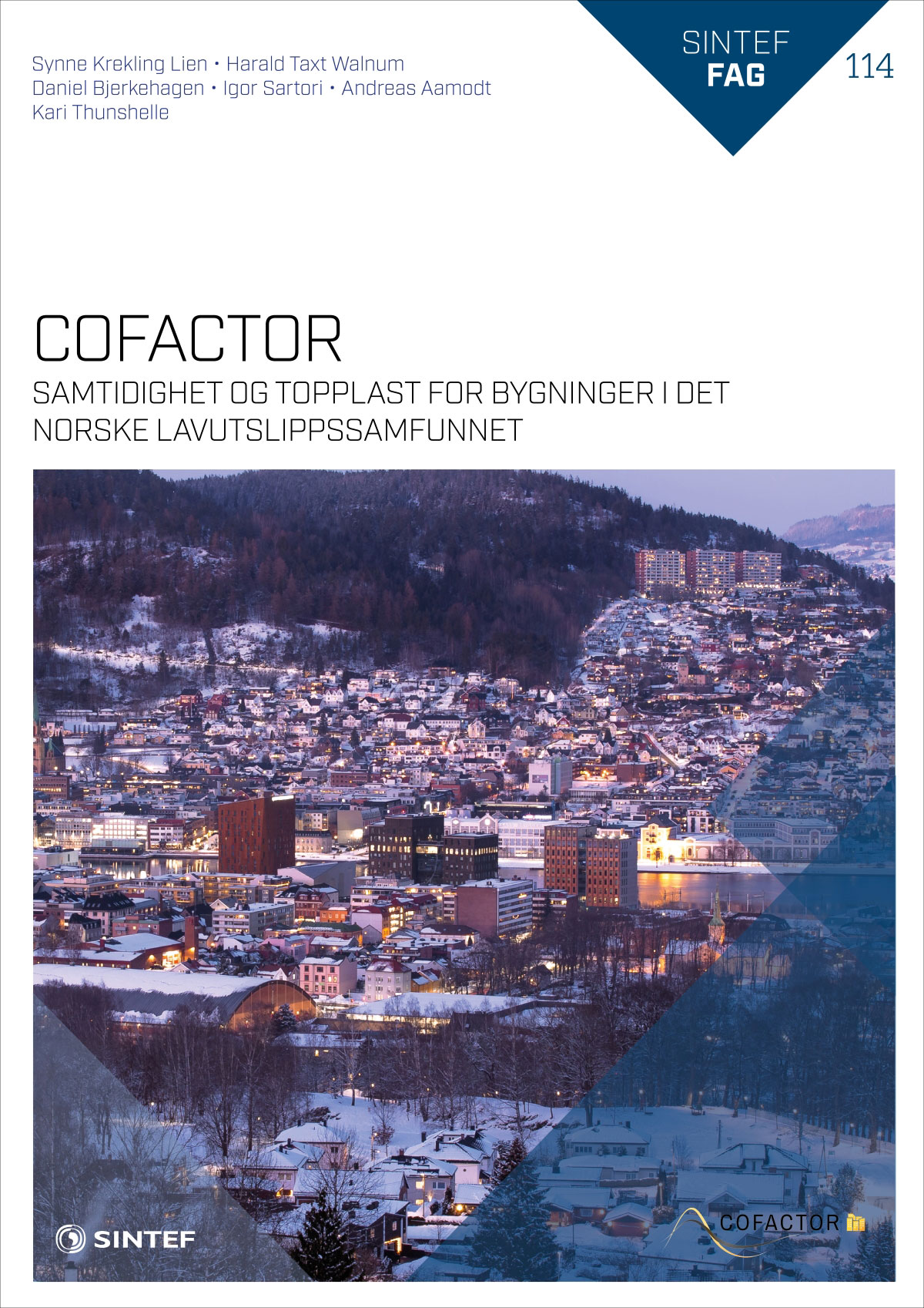 rapport forside