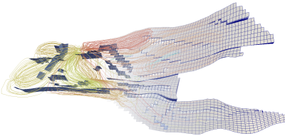 Quarter five spot with streamlines