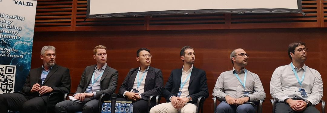 Panel discussion at the IMPACT-VALID joint side event.