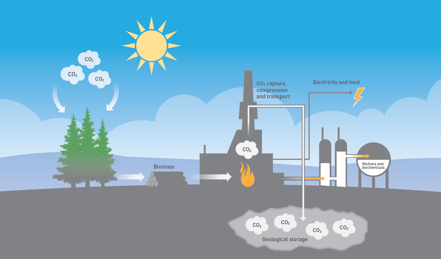 Fjerner CO2 fra naturens kretsløp